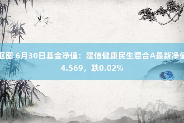 抠图 6月30日基金净值：建信健康民生混合A最新净值4.569，跌0.02%