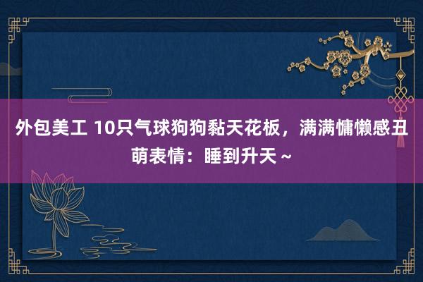 外包美工 10只气球狗狗黏天花板，满满慵懒感丑萌表情：睡到升天～